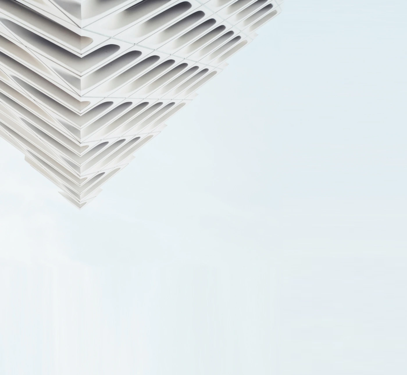 Cedrus Capital